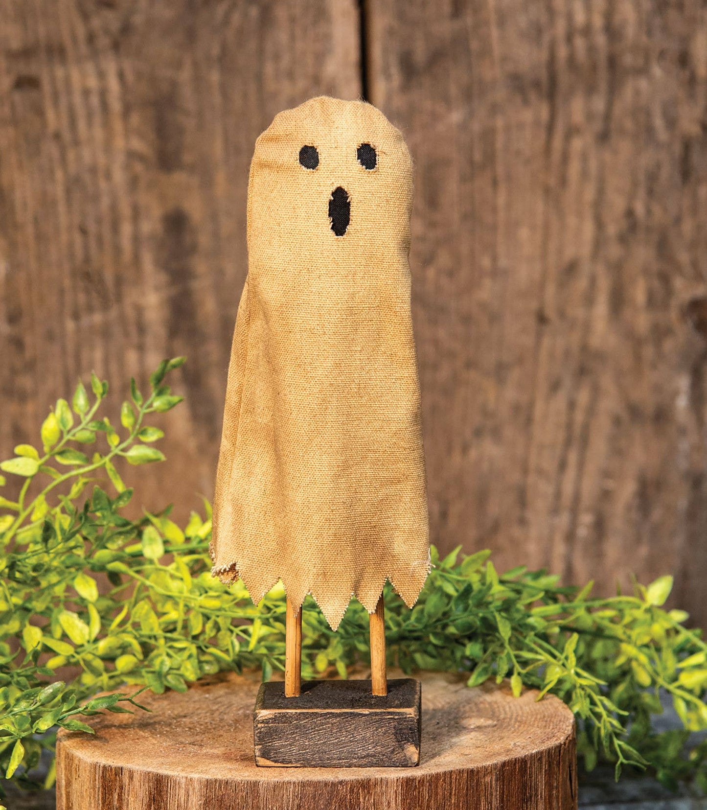 Primitive Ghost