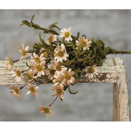 18" Teastained Daisy Bush
