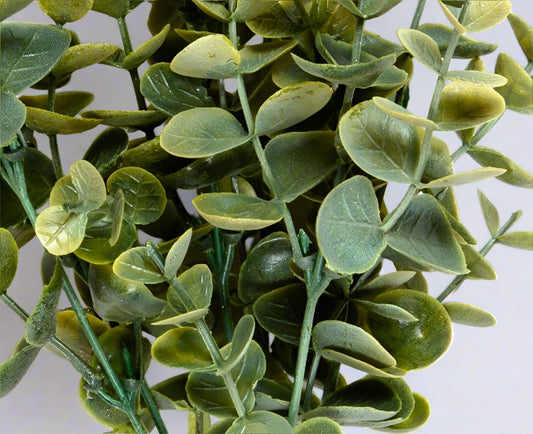 14" Eucalyptus Bush