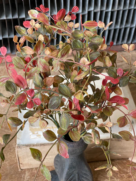 12" Fall Grass Bush