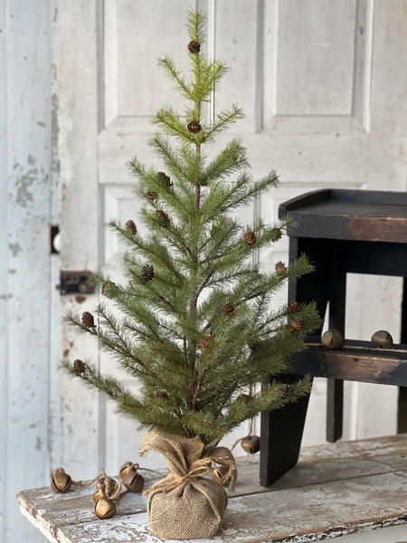 36" Greenup Pine Tree W/Cones