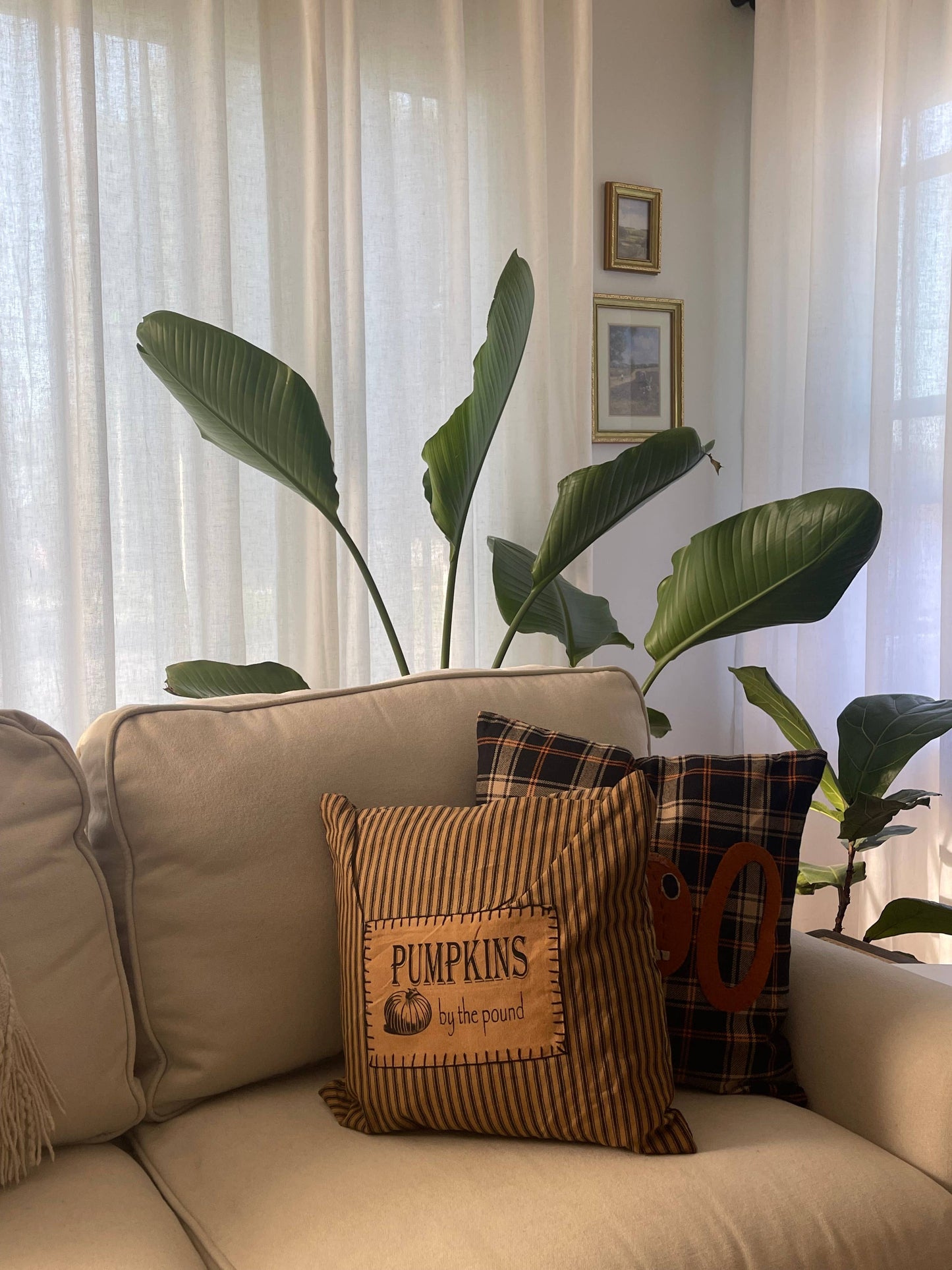 Pumpkins By The Pound Pillow