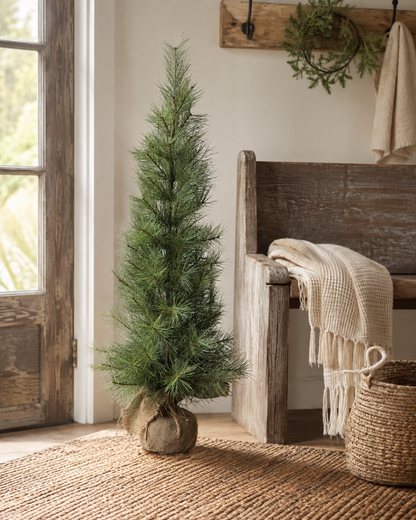 5' Timberline Pine Tree