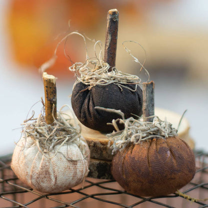 Primitive Mini Pumpkin - 3 Assorted