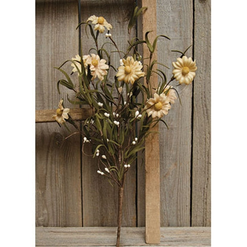 16" Teastain Daisy and Pip Berry Stem
