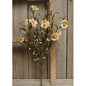 16" Teastain Daisy and Pip Berry Stem