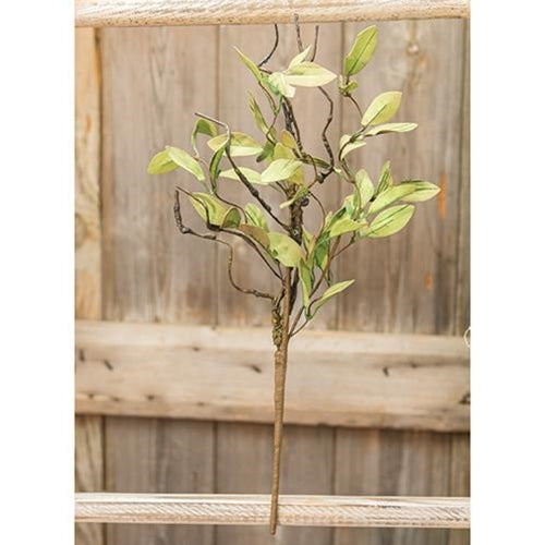 16" Sage Leaves and Twigs Stem