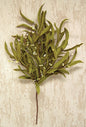 18" Herb Bush W/Citron Pip Berries Stem