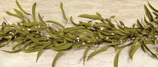 4' Herb Garland W/Citron Berries