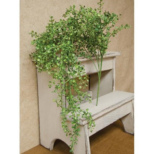 33" Weeping Baby's Grass