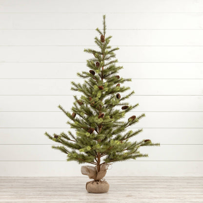 5' Outback Pine Tree
