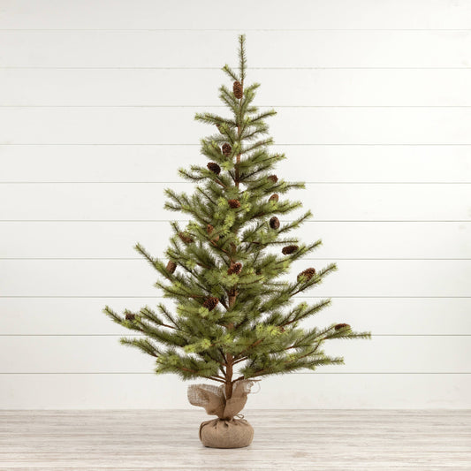 5' Outback Pine Tree