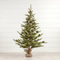 5' Outback Pine Tree