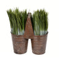 10" Potted Grass In Rusty Carrier