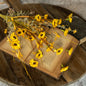 22" Mini Daisy and Wild Grass Bush