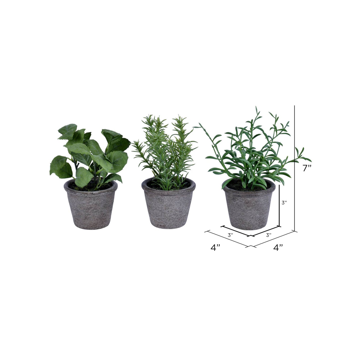 7" Green Potted Herbs Assort 3/pk