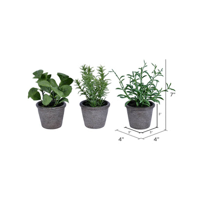 7" Green Potted Herbs Assort 3/pk
