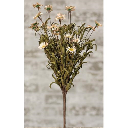 18" Teastained Daisy Bush