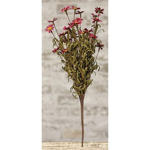 18" Burgundy Daisy Bush