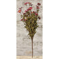 18" Burgundy Daisy Bush