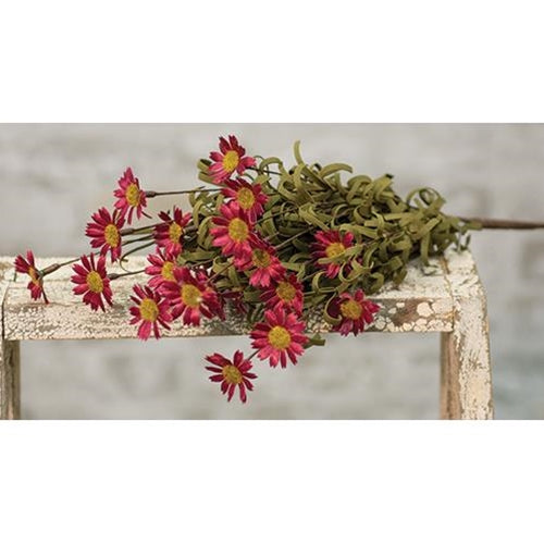 18" Burgundy Daisy Bush