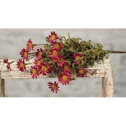 18" Burgundy Daisy Bush