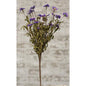 18" Purple Daisy Bush