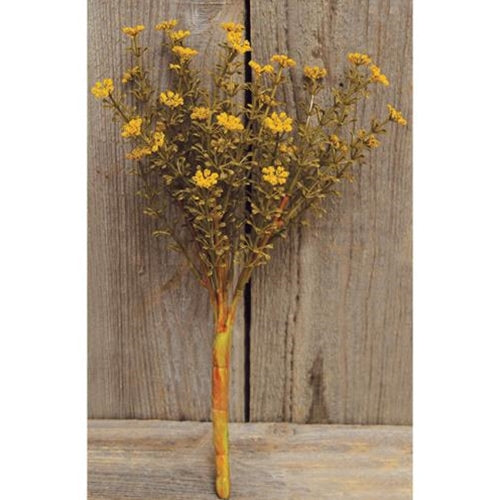 10.5" Mustard Astilbe Bush